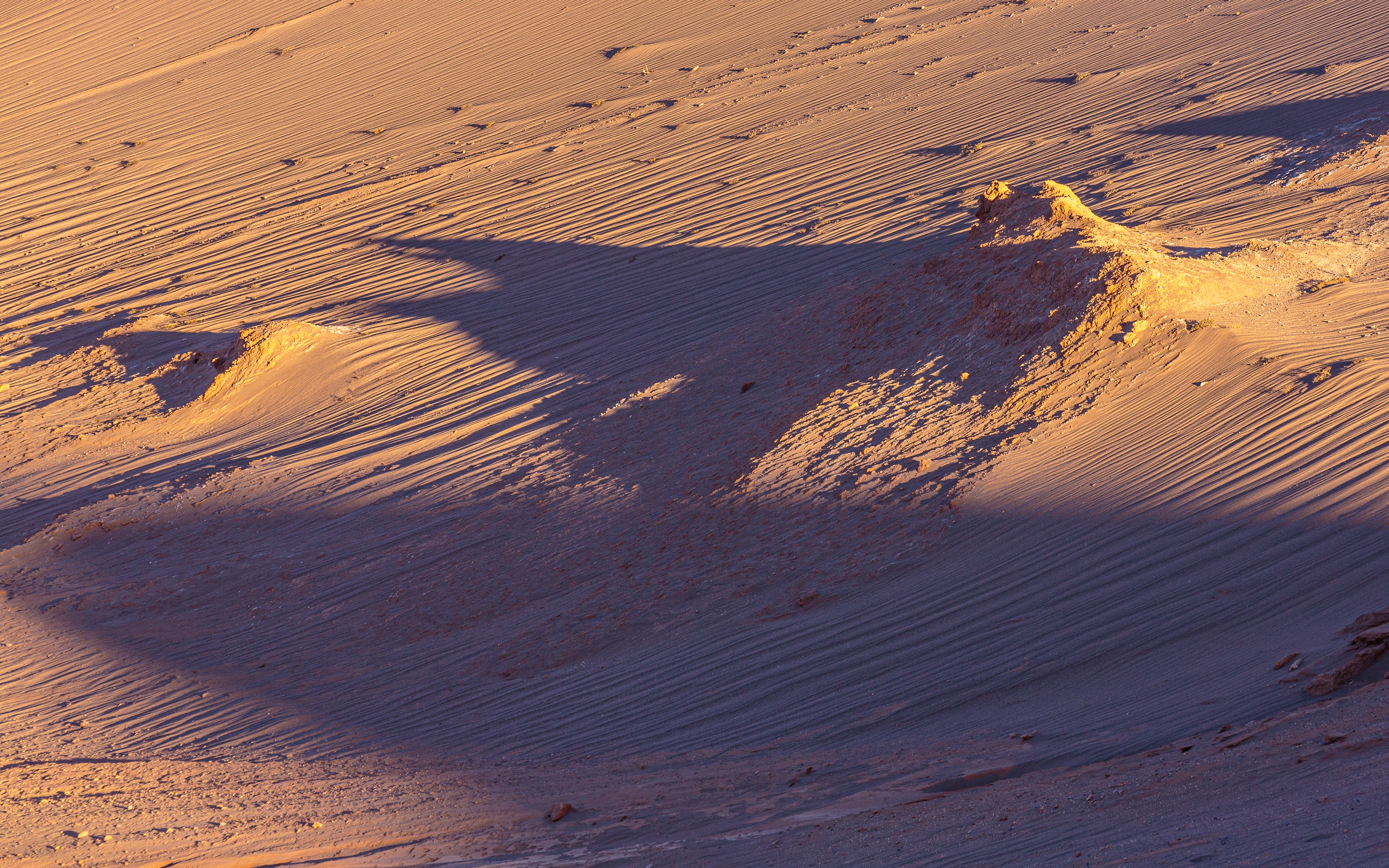 Desert picture by Chris Stenger